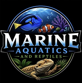 Marine Aquatics and Reptiles