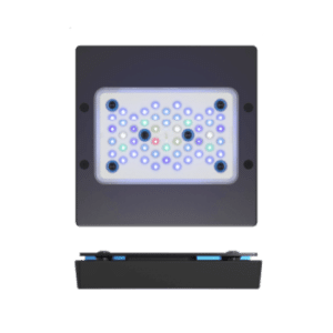 Ecotech Marine – G6 Radion XR15 Blue