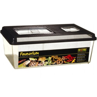EXO TERRA FLAT FAUNARIUM LARGE