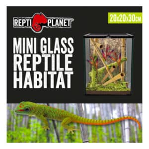 REPTI PLANET MINI GLASS HABITAT 20CM X20CM X30CM