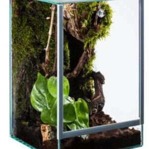 Diverse Terrarium For Spiders 15x15x20cm